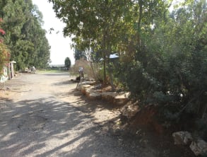 אחוזת%20עדה%20,%20תלמי%20אלעזר